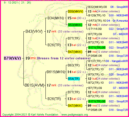 Pedigree of B79(VKV) :
four generations presented
it's temporarily unavailable, sorry!