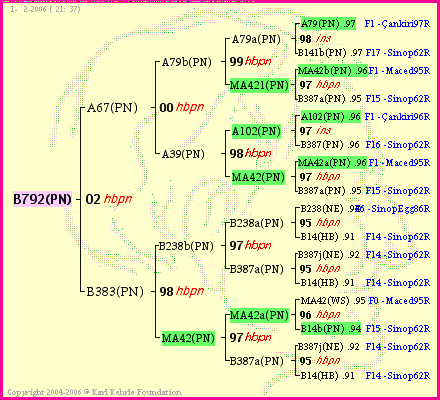 Pedigree of B792(PN) :
four generations presented