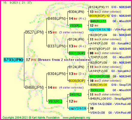 Pedigree of B793(JPN) :
four generations presented
it's temporarily unavailable, sorry!