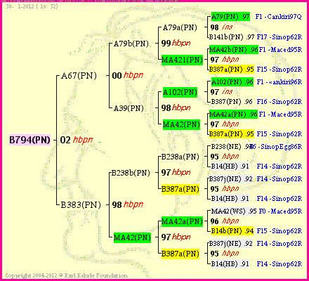 Pedigree of B794(PN) :
four generations presented