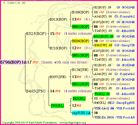 Pedigree of B796(BOP)1dr :
four generations presented
it's temporarily unavailable, sorry!