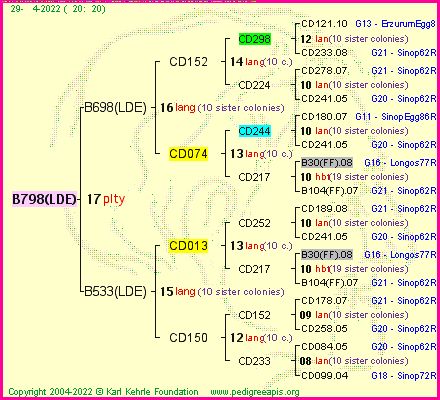 Pedigree of B798(LDE) :
four generations presented
it's temporarily unavailable, sorry!