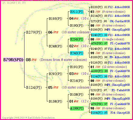 Pedigree of B79R(SPD) :
four generations presented