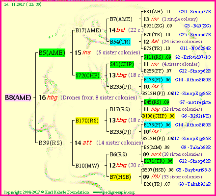 Pedigree of B8(AME) :
four generations presented<br />it's temporarily unavailable, sorry!