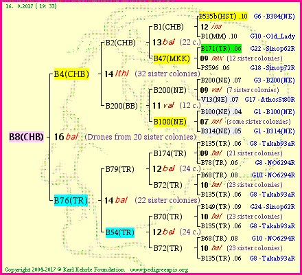 Pedigree of B8(CHB) :
four generations presented