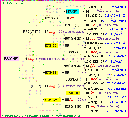 Pedigree of B8(CHP) :
four generations presented