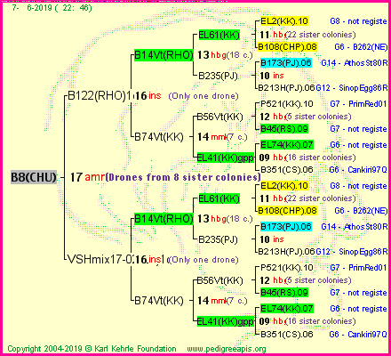 Pedigree of B8(CHU) :
four generations presented
it's temporarily unavailable, sorry!