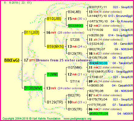 Pedigree of B8(EvG) :
four generations presented<br />it's temporarily unavailable, sorry!