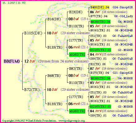 Pedigree of B8(FLM) :
four generations presented