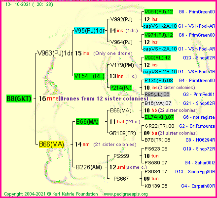 Pedigree of B8(GKT) :
four generations presented
it's temporarily unavailable, sorry!