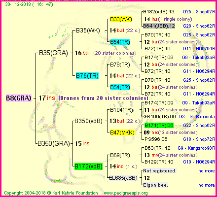 Pedigree of B8(GRA) :
four generations presented<br />it's temporarily unavailable, sorry!