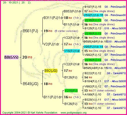 Pedigree of B8(GSS) :
four generations presented
it's temporarily unavailable, sorry!