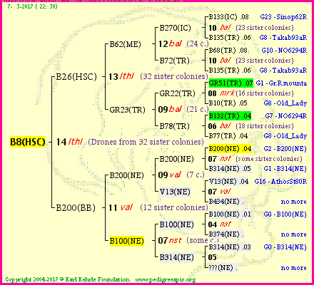 Pedigree of B8(HSC) :
four generations presented