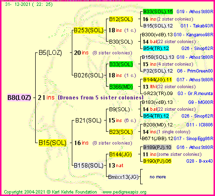 Pedigree of B8(LOZ) :
four generations presented
it's temporarily unavailable, sorry!