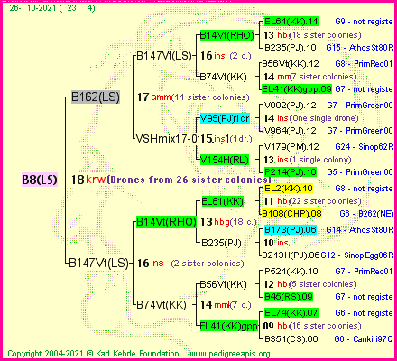 Pedigree of B8(LS) :
four generations presented
it's temporarily unavailable, sorry!