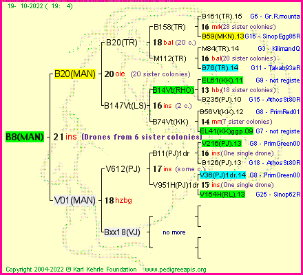 Pedigree of B8(MAN) :
four generations presented
it's temporarily unavailable, sorry!