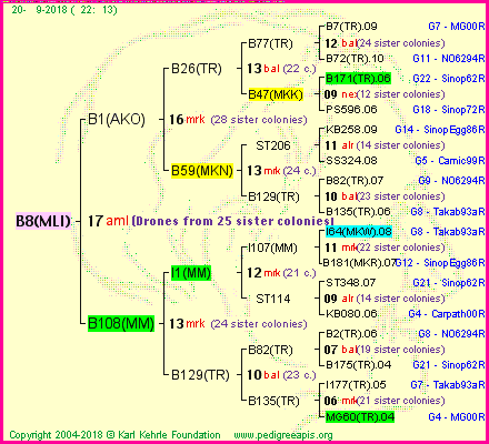 Pedigree of B8(MLI) :
four generations presented<br />it's temporarily unavailable, sorry!