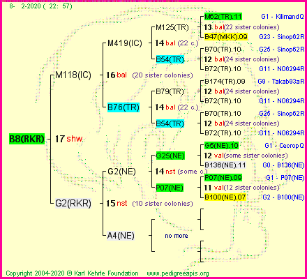 Pedigree of B8(RKR) :
four generations presented
it's temporarily unavailable, sorry!