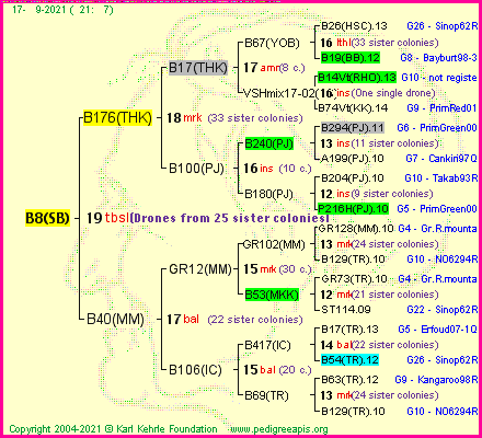 Pedigree of B8(SB) :
four generations presented
it's temporarily unavailable, sorry!