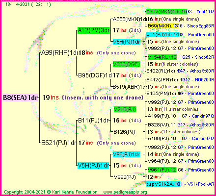 Pedigree of B8(SEA)1dr :
four generations presented
it's temporarily unavailable, sorry!