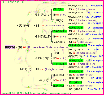 Pedigree of B8(VG) :
four generations presented
it's temporarily unavailable, sorry!