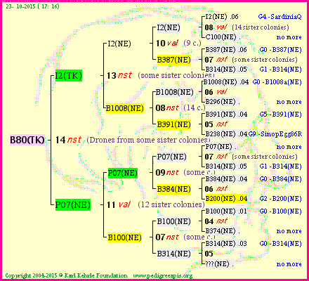 Pedigree of B80(TK) :
four generations presented<br />it's temporarily unavailable, sorry!