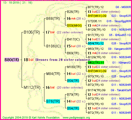 Pedigree of B80(TR) :
four generations presented<br />it's temporarily unavailable, sorry!