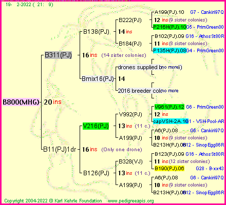 Pedigree of B800(MHG) :
four generations presented
it's temporarily unavailable, sorry!