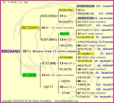 Pedigree of B802(MAK) :
four generations presented<br />it's temporarily unavailable, sorry!