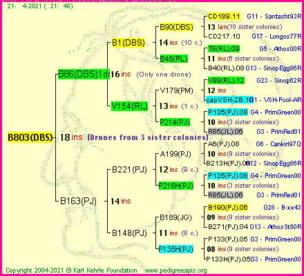 Pedigree of B803(DBS) :
four generations presented
it's temporarily unavailable, sorry!