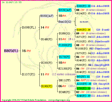 Pedigree of B805(FL) :
four generations presented<br />it's temporarily unavailable, sorry!