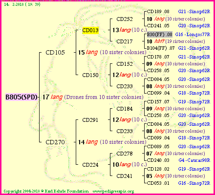 Pedigree of B805(SPD) :
four generations presented