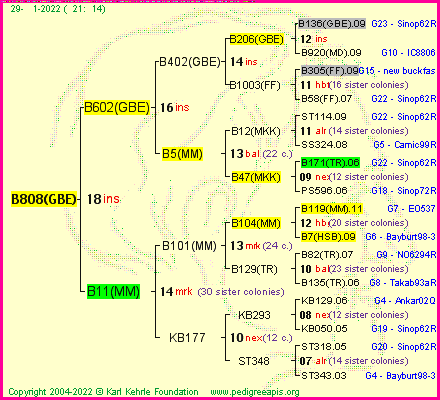 Pedigree of B808(GBE) :
four generations presented
it's temporarily unavailable, sorry!