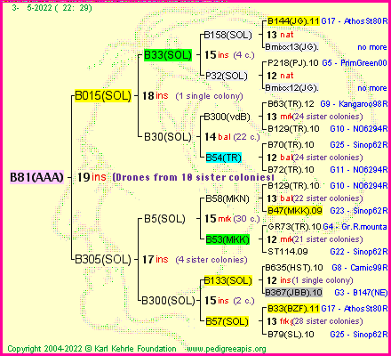 Pedigree of B81(AAA) :
four generations presented
it's temporarily unavailable, sorry!