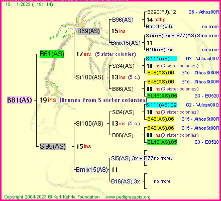 Pedigree of B81(AS) :
four generations presented
it's temporarily unavailable, sorry!