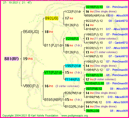 Pedigree of B81(RF) :
four generations presented
it's temporarily unavailable, sorry!