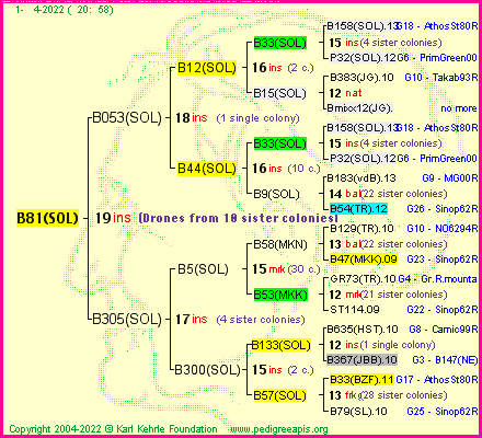 Pedigree of B81(SOL) :
four generations presented
it's temporarily unavailable, sorry!