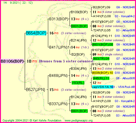 Pedigree of B8106(BOP) :
four generations presented
it's temporarily unavailable, sorry!