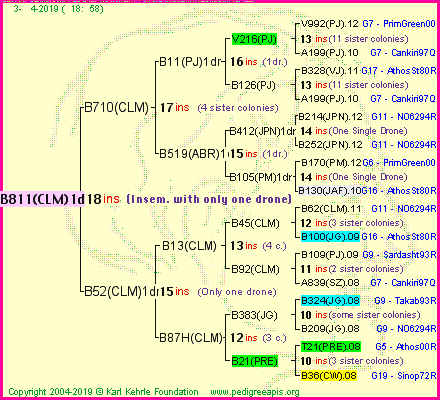 Pedigree of B811(CLM)1dr :
four generations presented<br />it's temporarily unavailable, sorry!