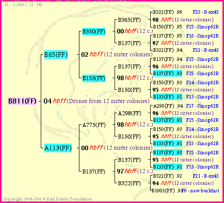 Pedigree of B811(FF) :
four generations presented