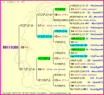 Pedigree of B8111(JD) :
four generations presented
it's temporarily unavailable, sorry!