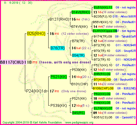 Pedigree of B8117(CHU)1dr :
four generations presented
it's temporarily unavailable, sorry!