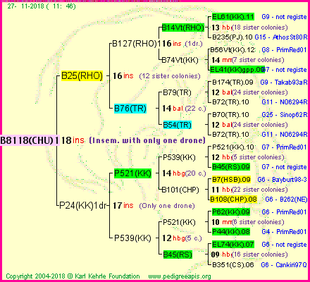 Pedigree of B8118(CHU)1dr :
four generations presented
it's temporarily unavailable, sorry!