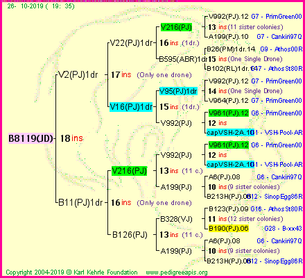 Pedigree of B8119(JD) :
four generations presented
it's temporarily unavailable, sorry!