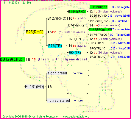 Pedigree of B8129(CHU)1dr :
four generations presented
it's temporarily unavailable, sorry!