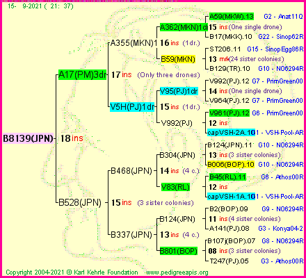 Pedigree of B8139(JPN) :
four generations presented
it's temporarily unavailable, sorry!