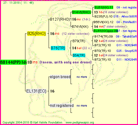 Pedigree of B8144(PP)1dr :
four generations presented
it's temporarily unavailable, sorry!