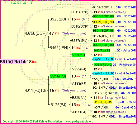 Pedigree of B815(JPN)1dr :
four generations presented
it's temporarily unavailable, sorry!