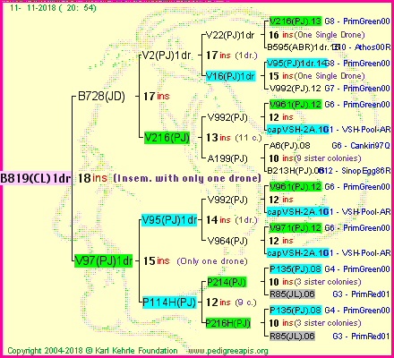 Pedigree of B819(CL)1dr :
four generations presented
it's temporarily unavailable, sorry!