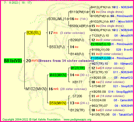 Pedigree of B81b(VD) :
four generations presented
it's temporarily unavailable, sorry!